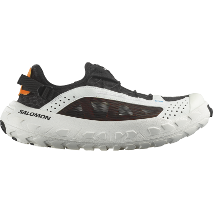 SOLAMPHIBIAN