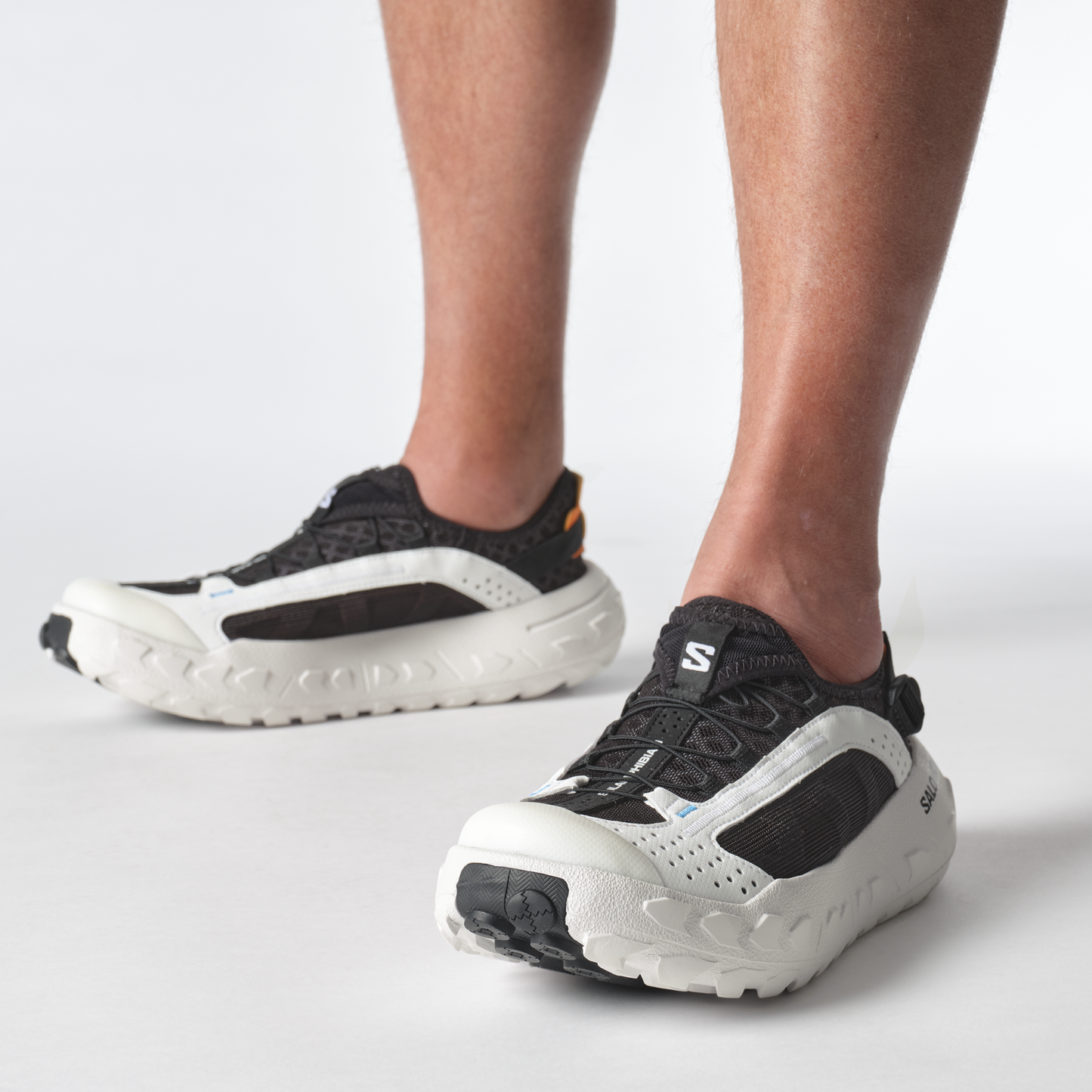 SOLAMPHIBIAN