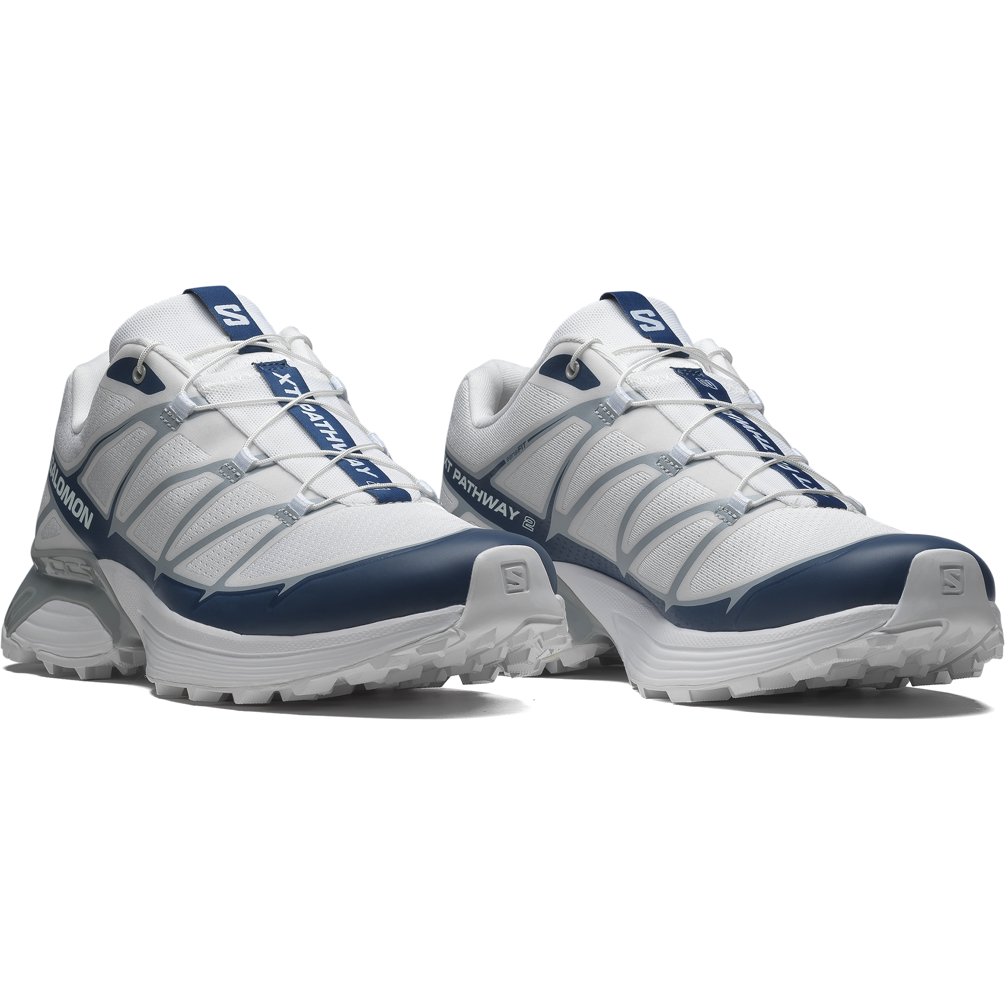 XT-PATHWAY 2