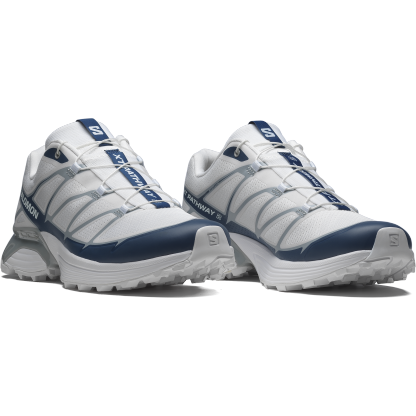XT-PATHWAY 2