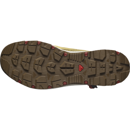 TECHAMPHIBIAN 5