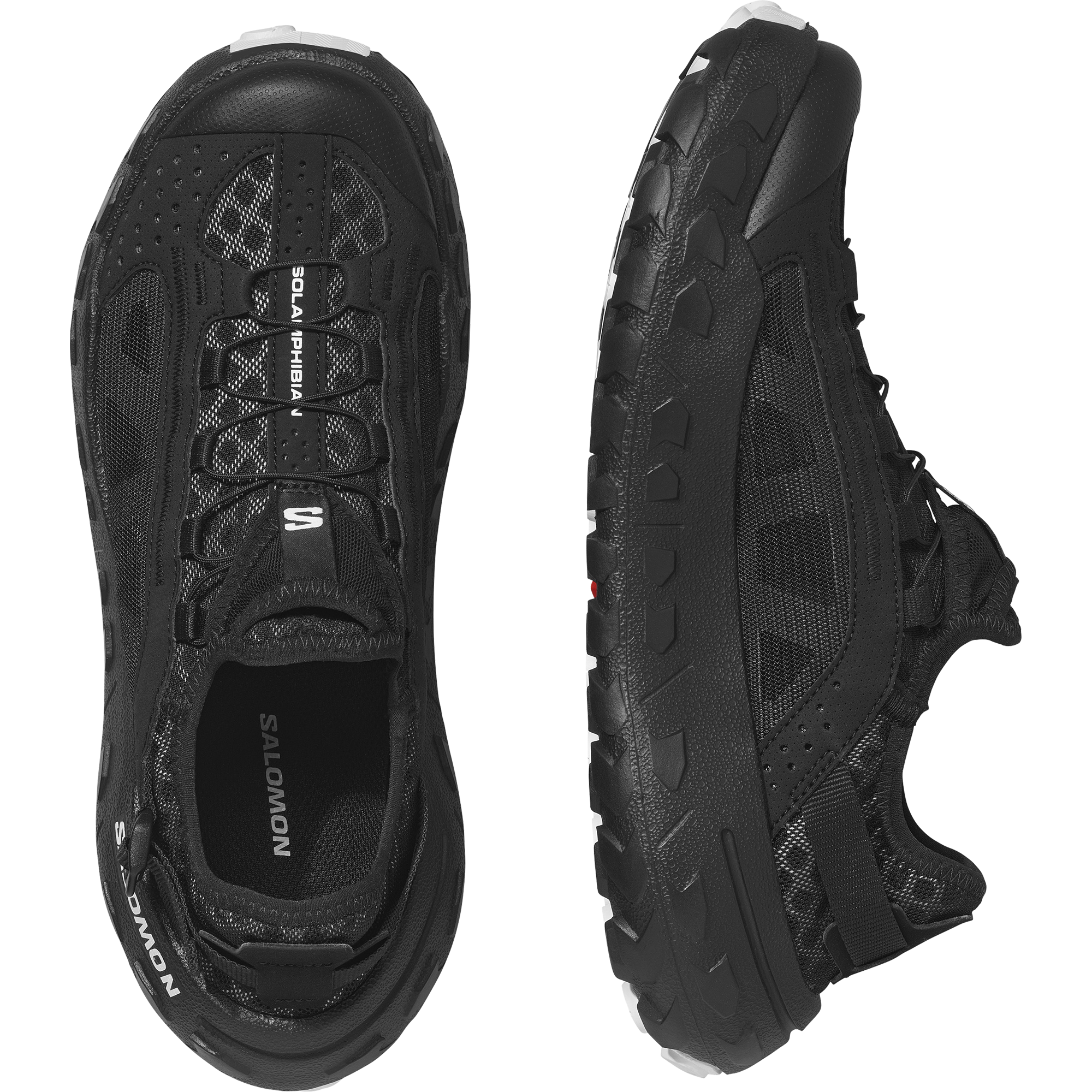 SOLAMPHIBIAN