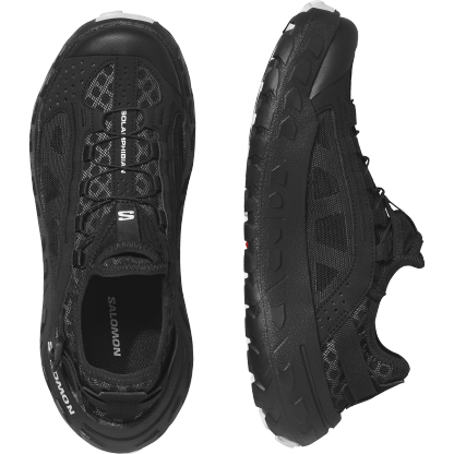SOLAMPHIBIAN