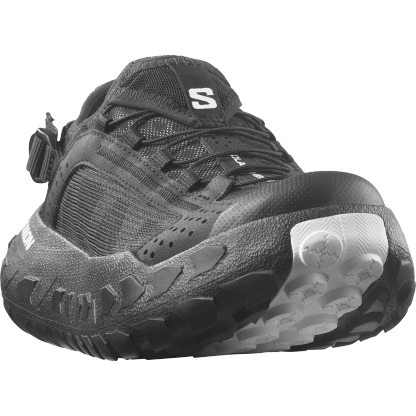SOLAMPHIBIAN