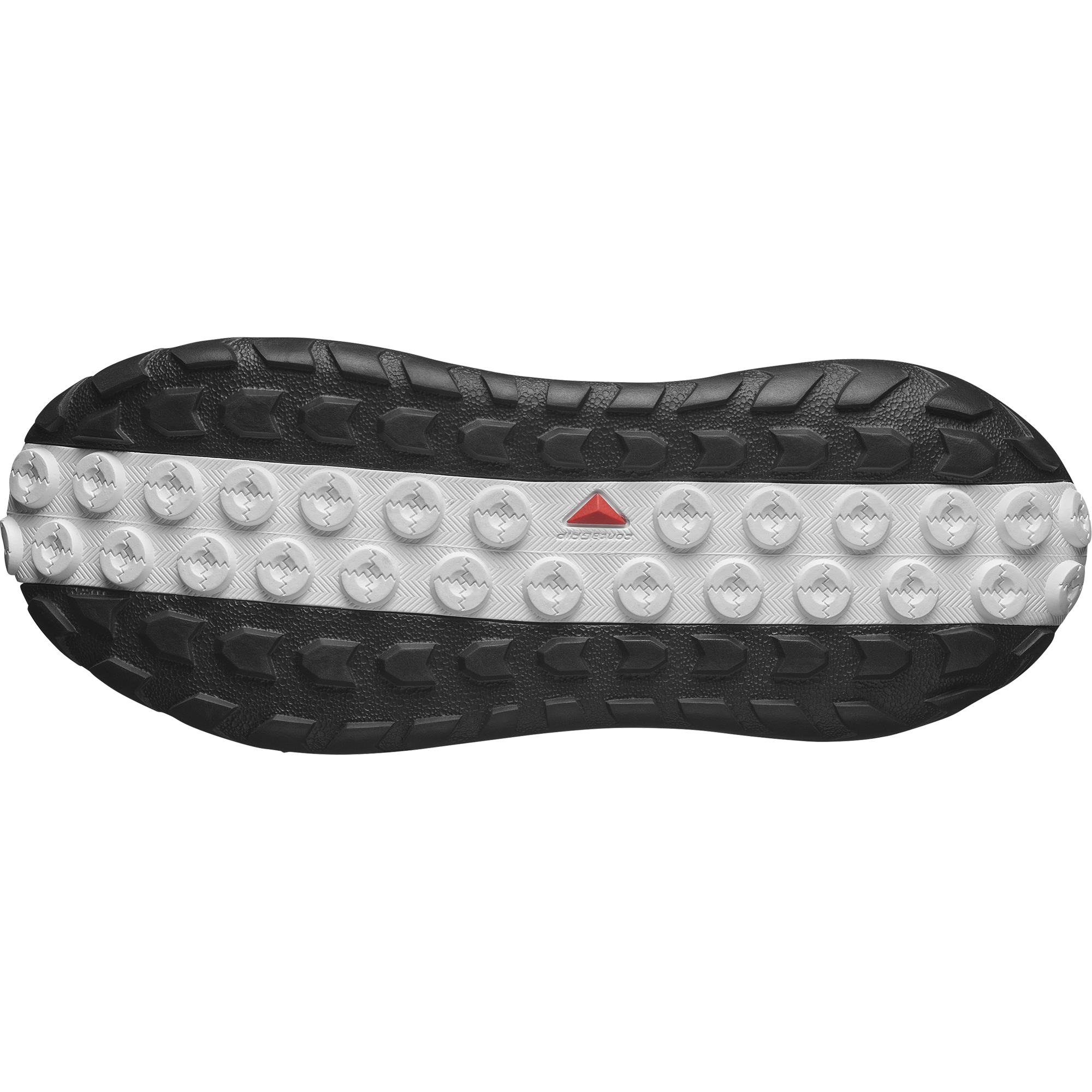 SOLAMPHIBIAN – SALOMON MY