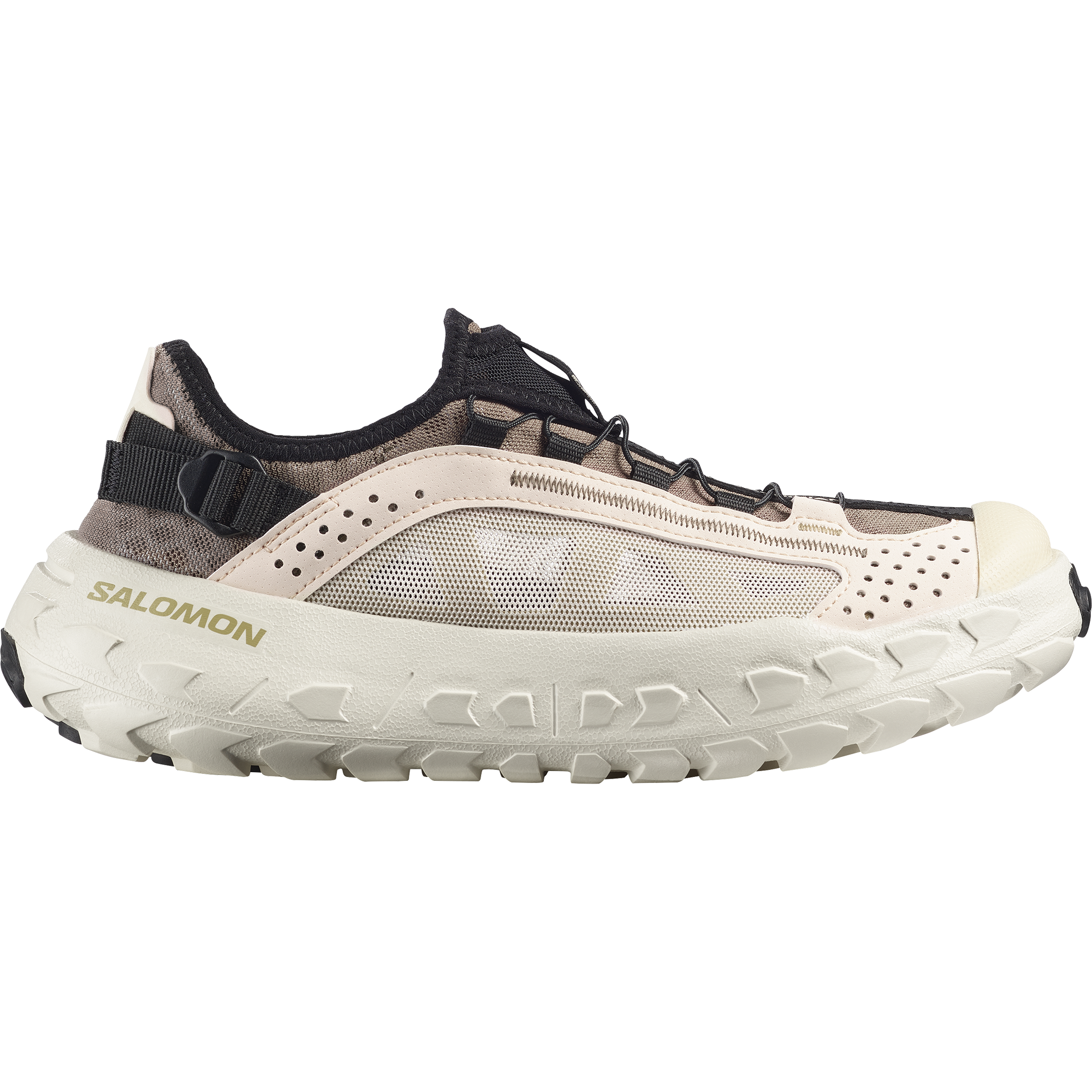 SOLAMPHIBIAN