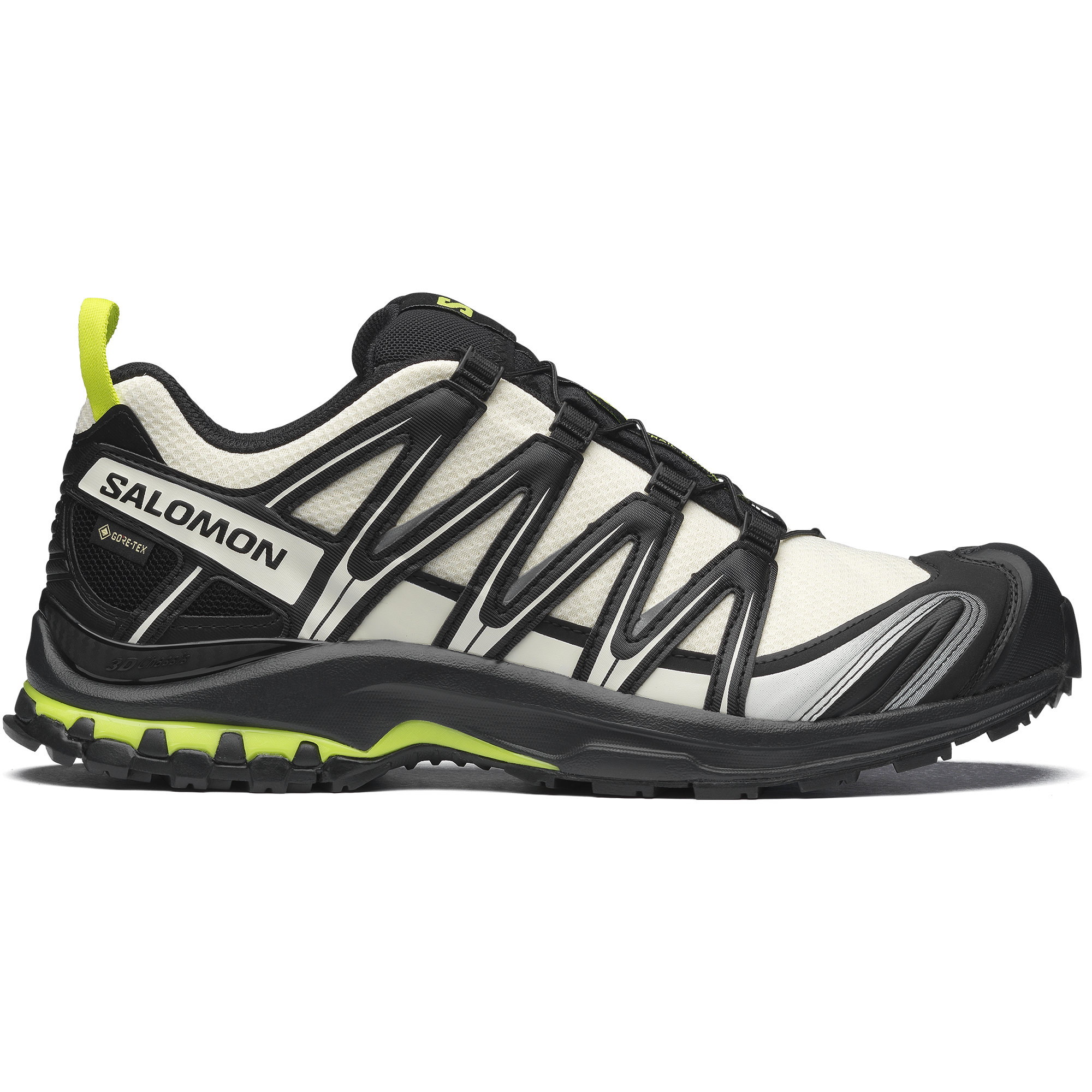 SALOMON XA PRO 3D GORE-TEX