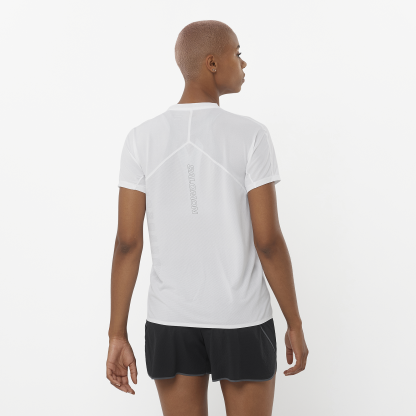 SENSE AERO GRAPHIC