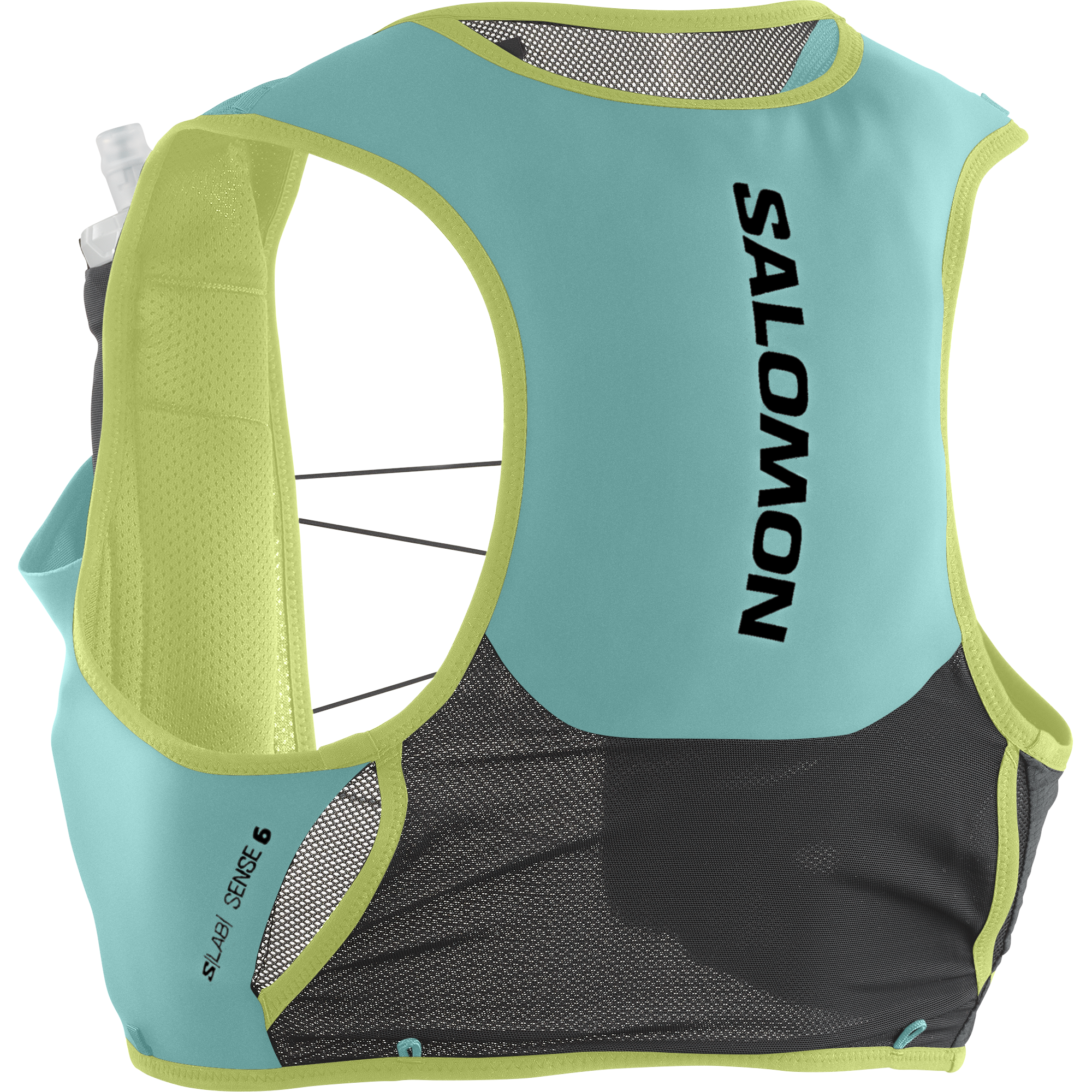 SENSE PRO 6 LIMITED COURTNEY