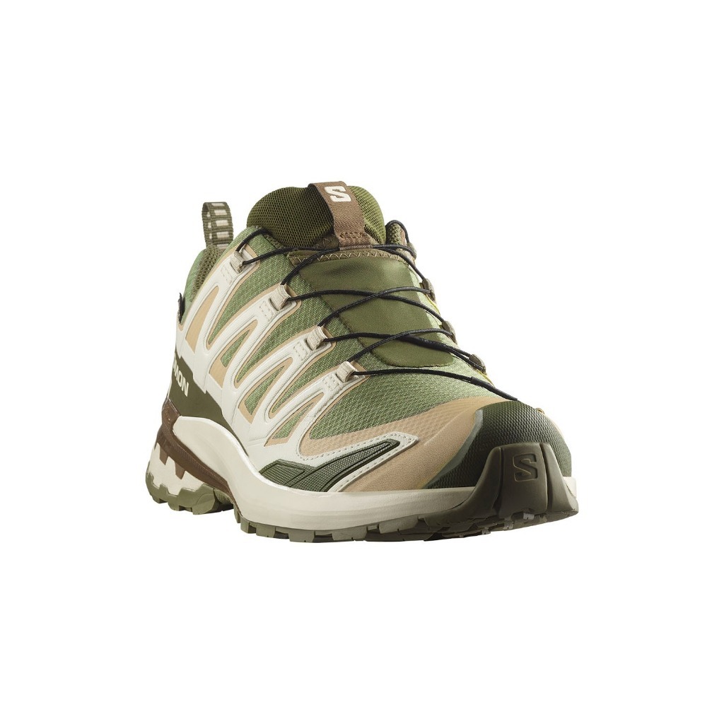 SALOMON Xa Pro 3D V9 GTX Dlicgr/Sfari/Dkea Unisex Shoes