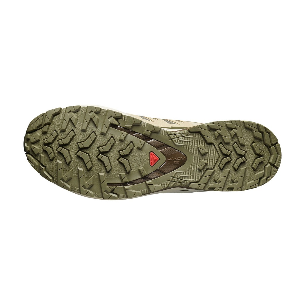 SALOMON Xa Pro 3D V9 GTX Dlicgr/Sfari/Dkea Unisex Shoes