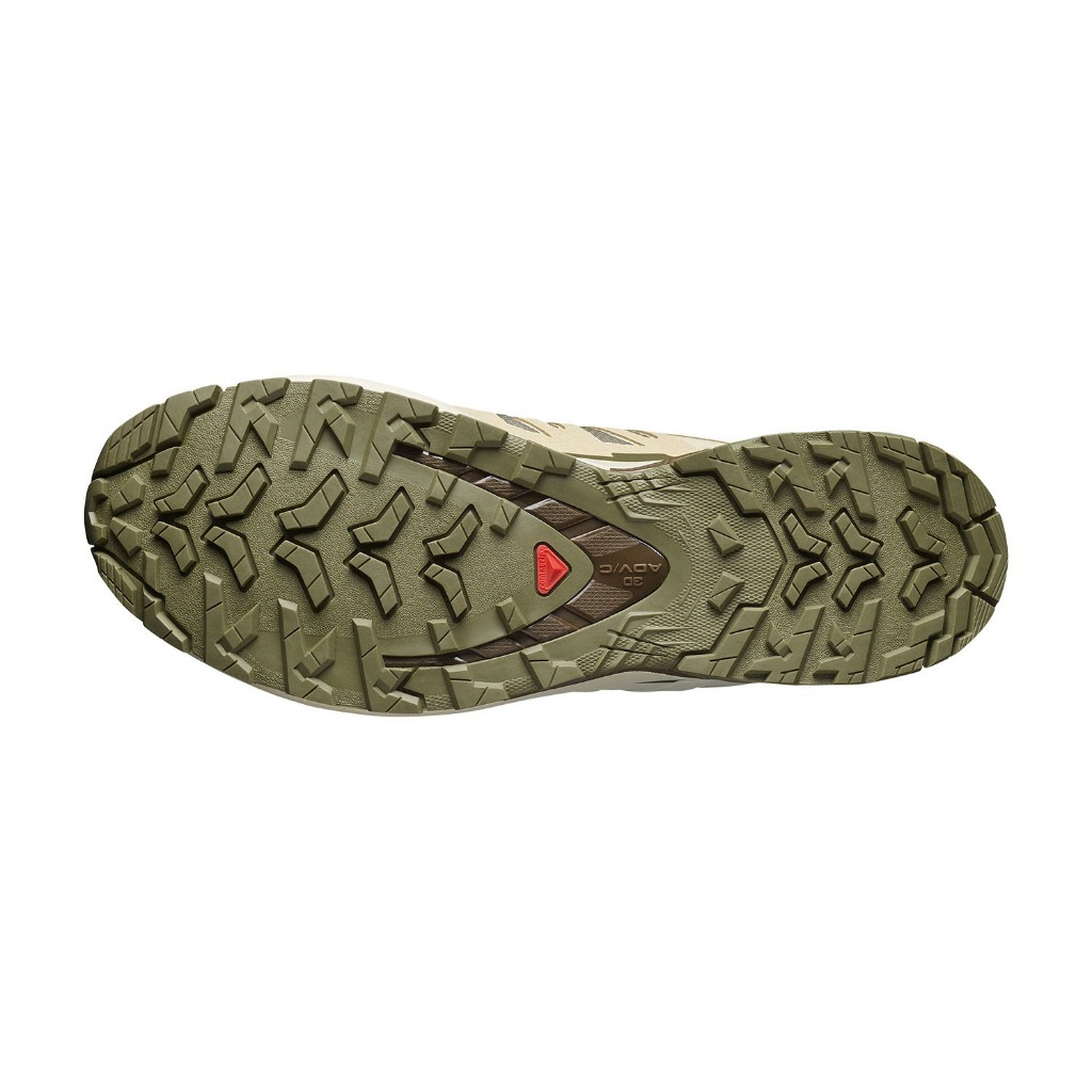SALOMON Xa Pro 3D V9 GTX Dlicgr/Sfari/Dkea Unisex Shoes