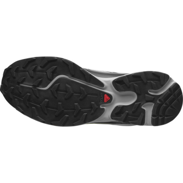 XT-6 - Alloy/Black/Dark Citron