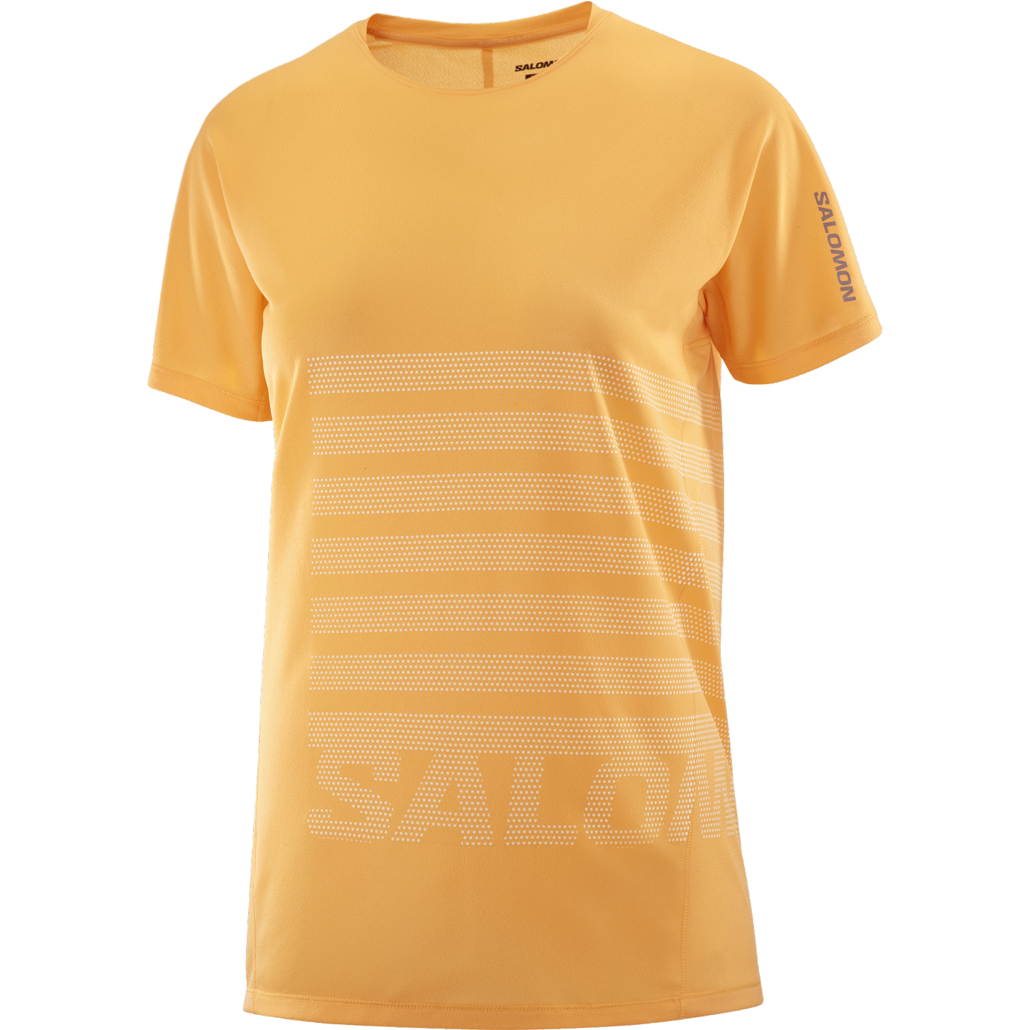 SALOMON WOMEN SENSE AERO SS TEE GFX W WARM