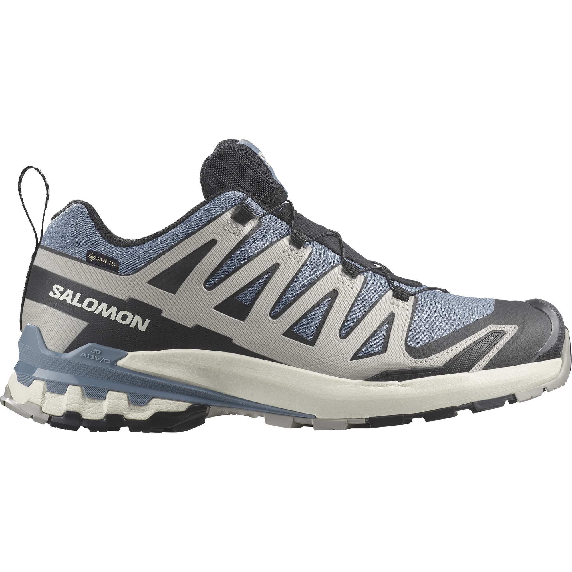 SALOMON XA PRO 3D V9 GORE TEX