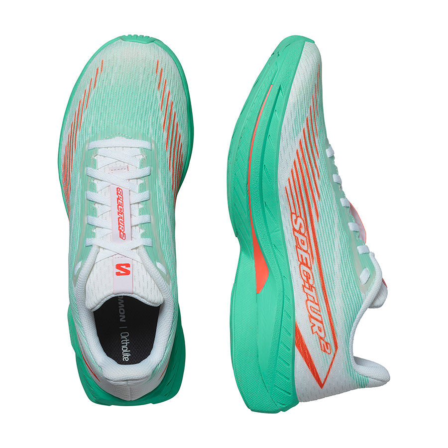 SPECTUR 2 – SALOMON TH