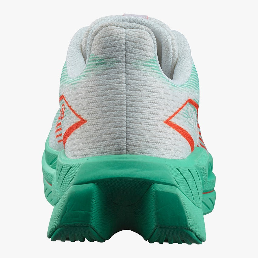SPECTUR 2 – SALOMON TH