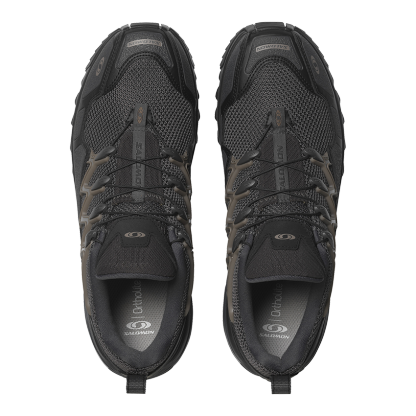 #Asphalt / Black / Falcon