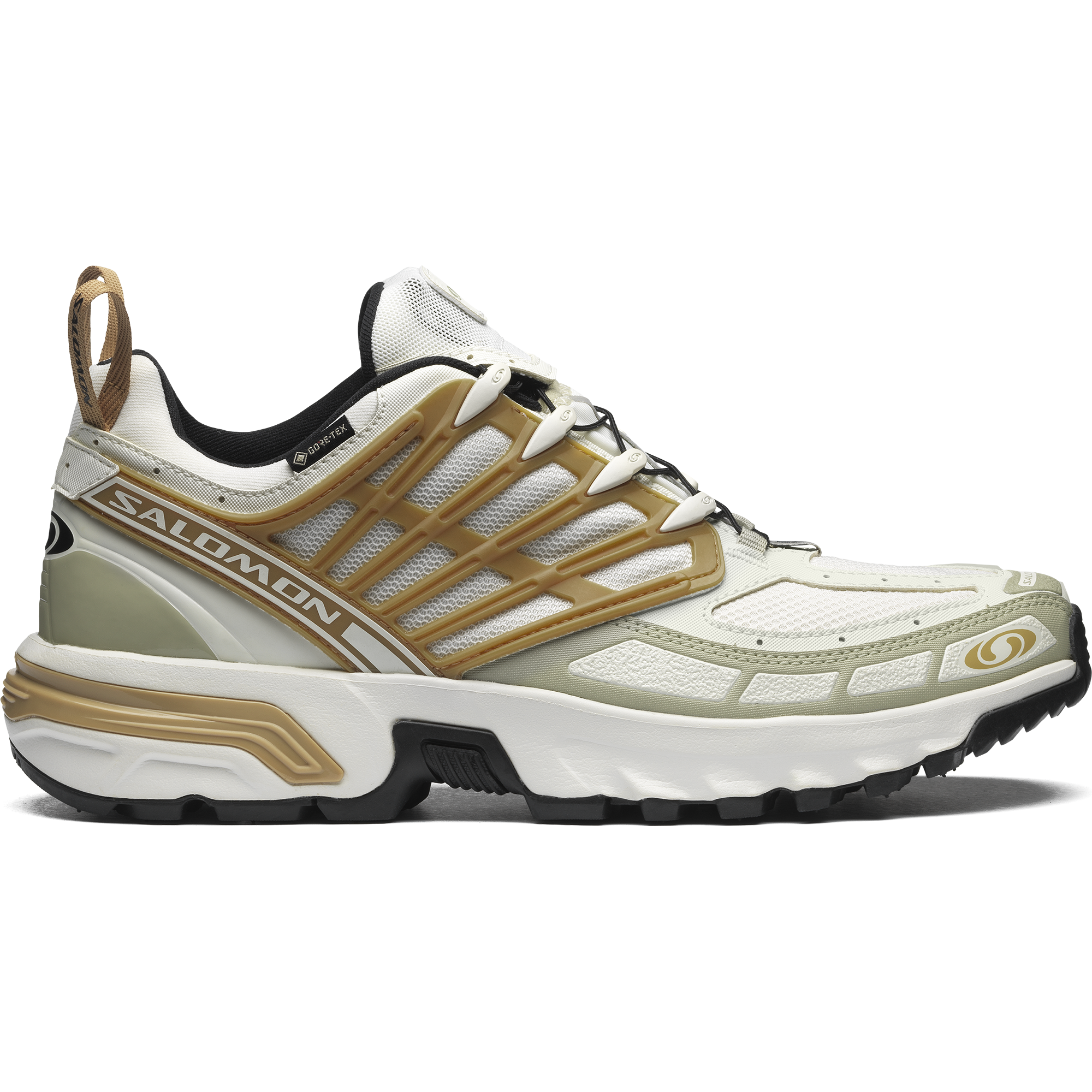 SALOMON SHOES ACS PRO GTX