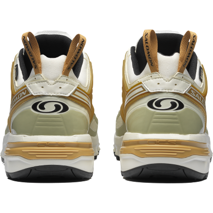 SALOMON SHOES ACS PRO GTX