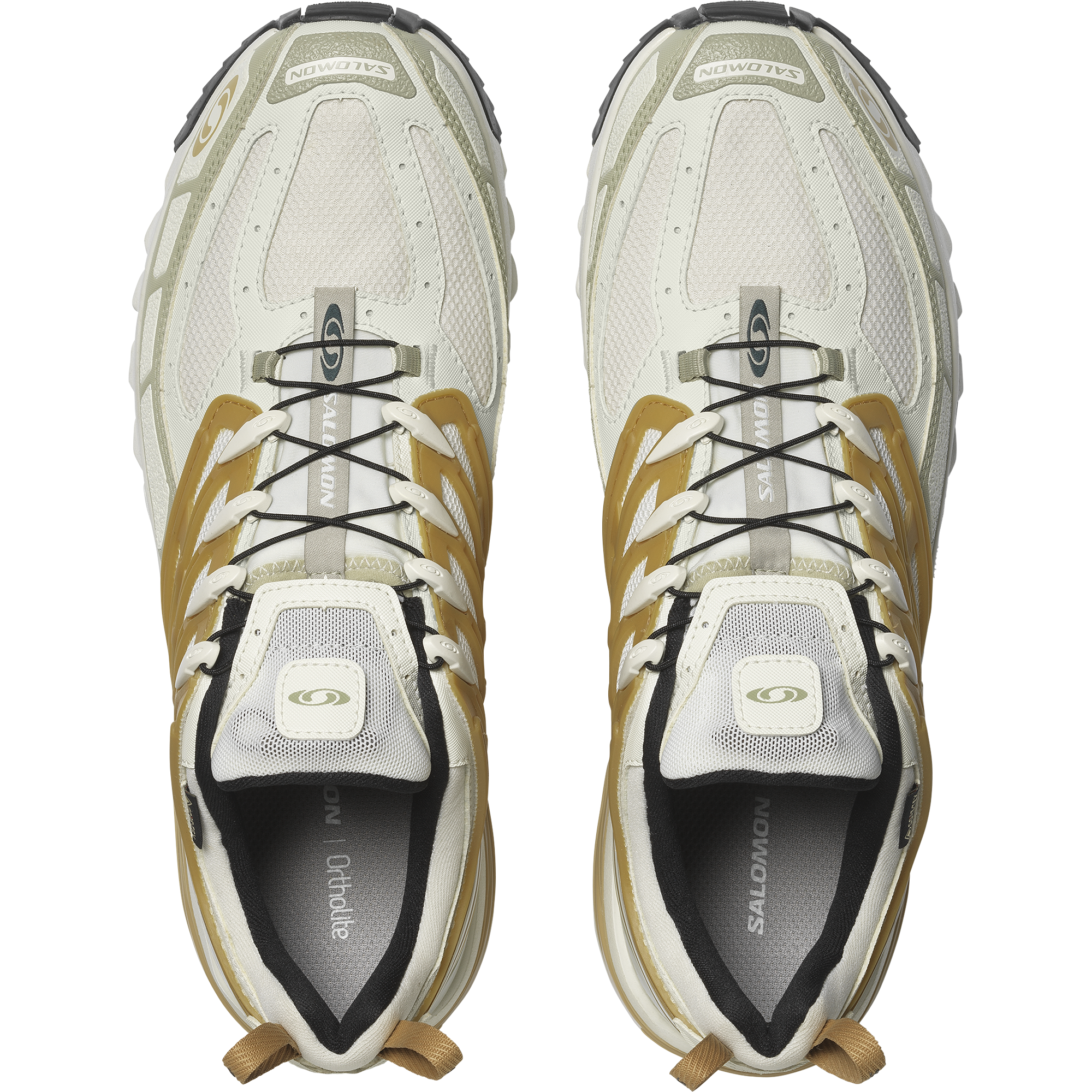 SALOMON SHOES ACS PRO GTX