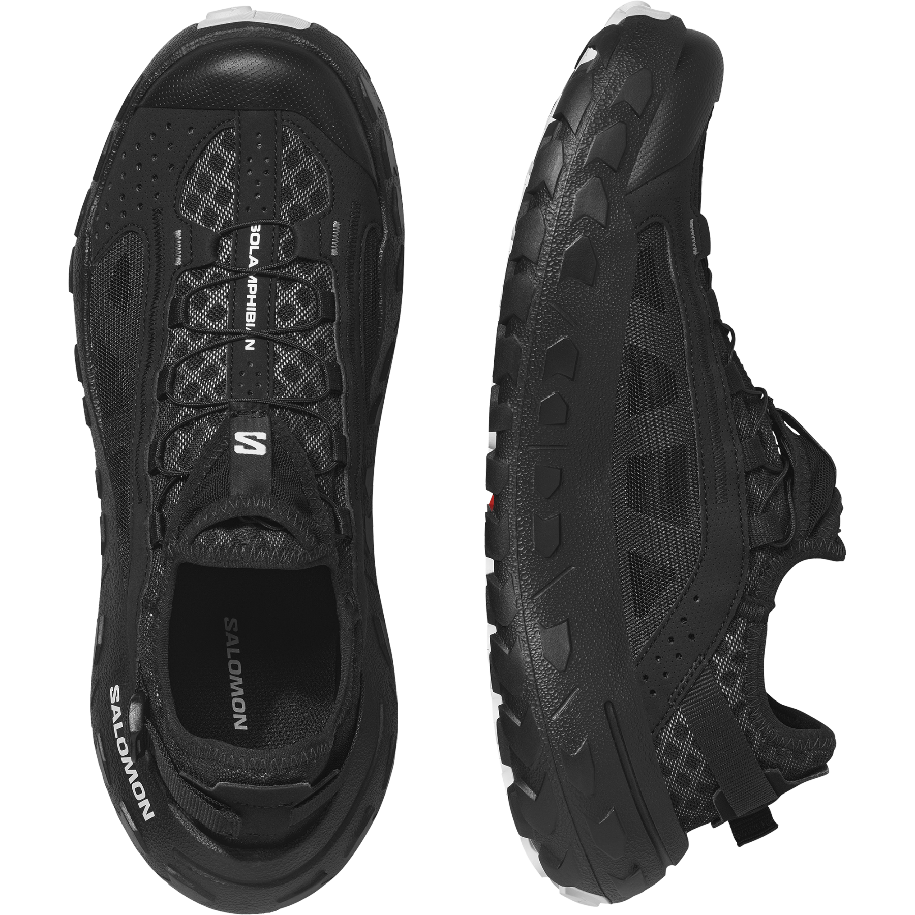 SOLAMPHIBIAN