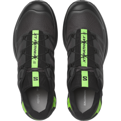 XT-PATHWAY 2