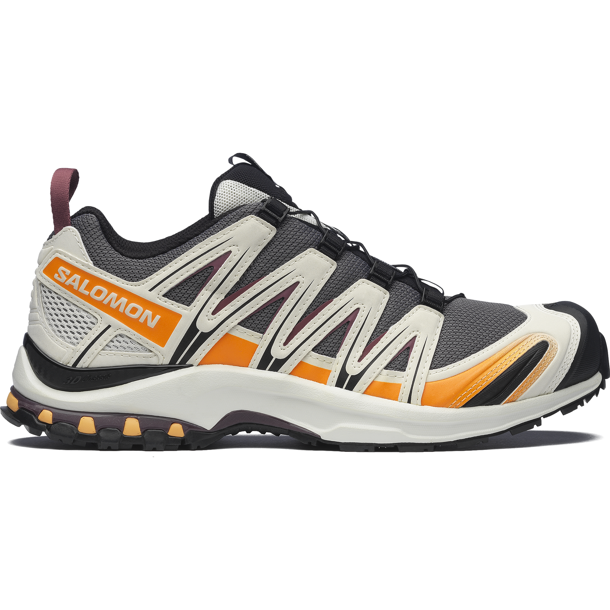 SALOMON XA PRO 3D