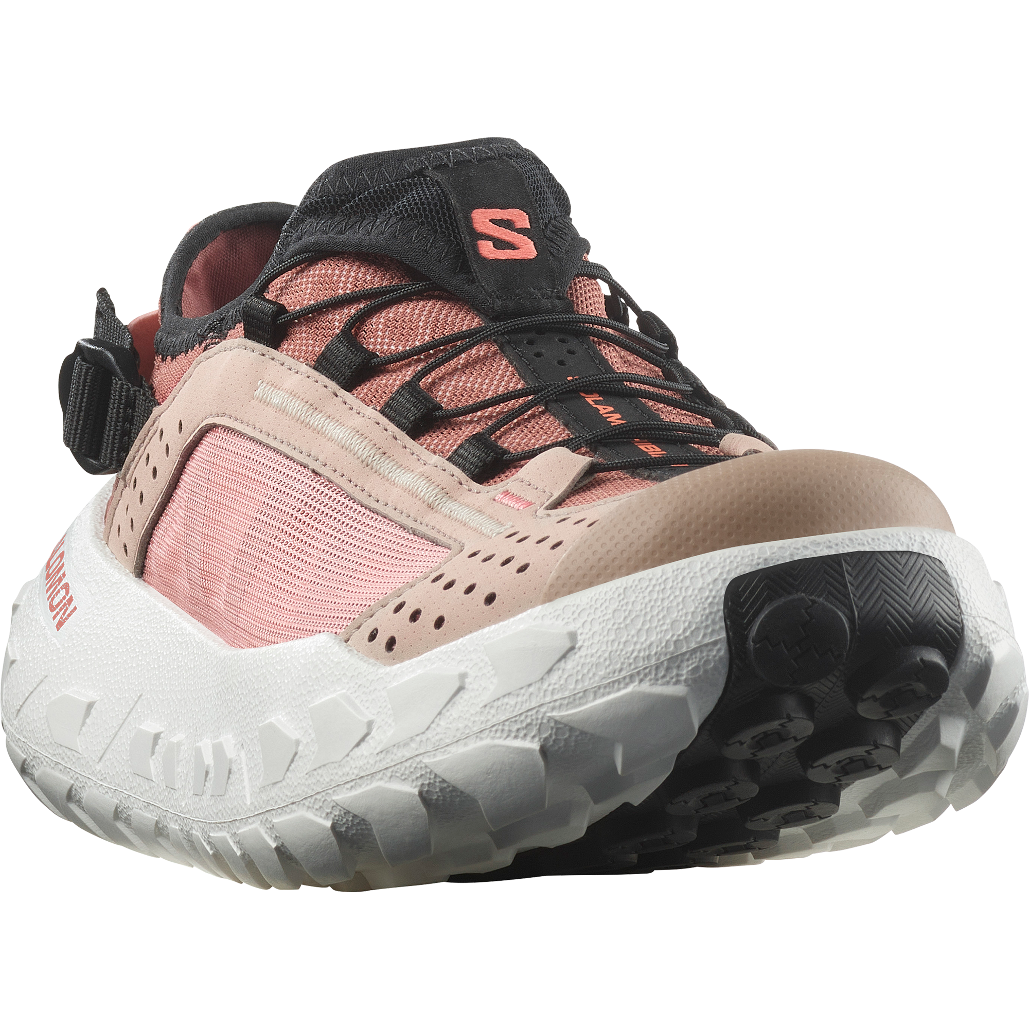 SOLAMPHIBIAN