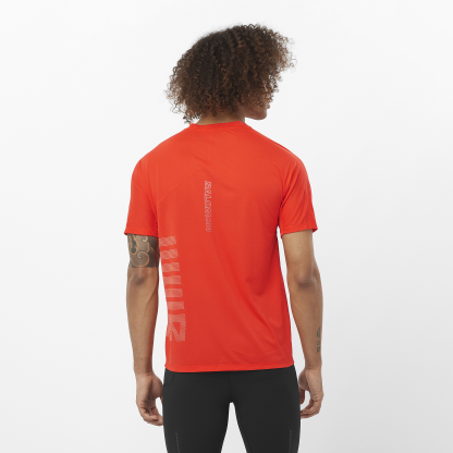 SALOMON SENSE AERO GRAPHIC