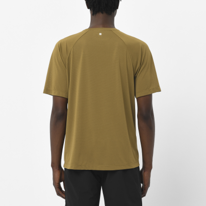 SHAKEout CORE