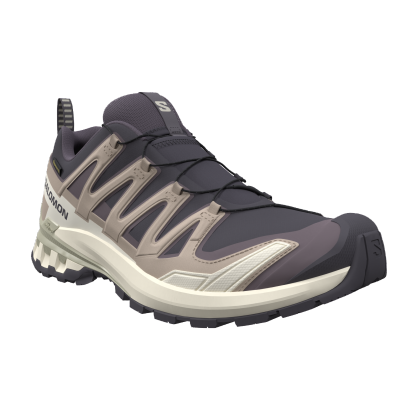 SALOMON WOMEN SHOES XA PRO 3D V9 GTX W 9 IRON/OXFORD/A
