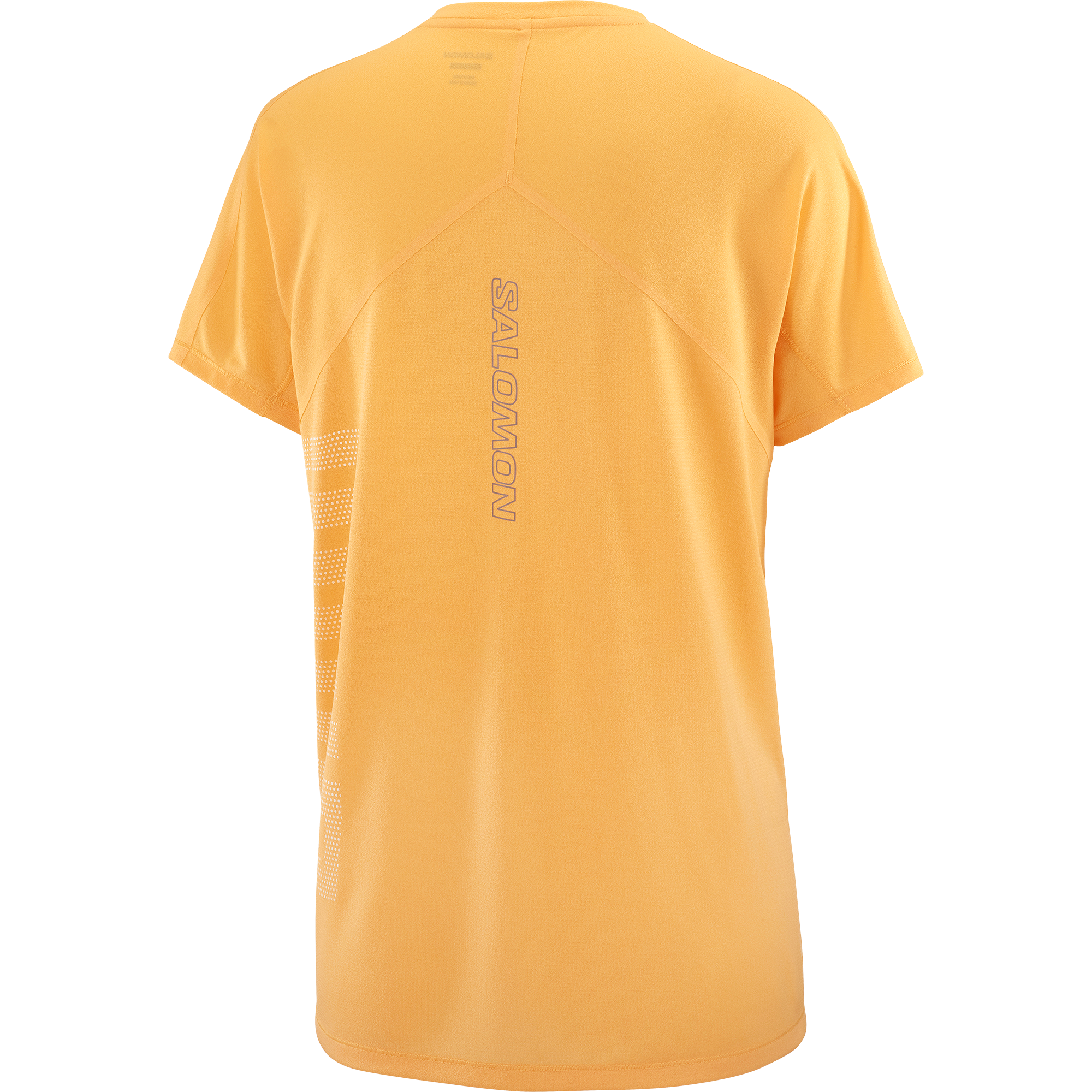 SALOMON WOMEN SENSE AERO SS TEE GFX W WARM