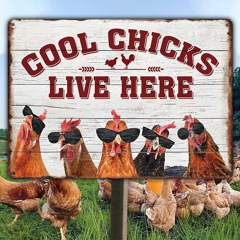 Chicken Coop Sign | Cool Chicks Live Here Chicken Coop Sign Metal Cool Chicks Live Here Information Signs-Jolura