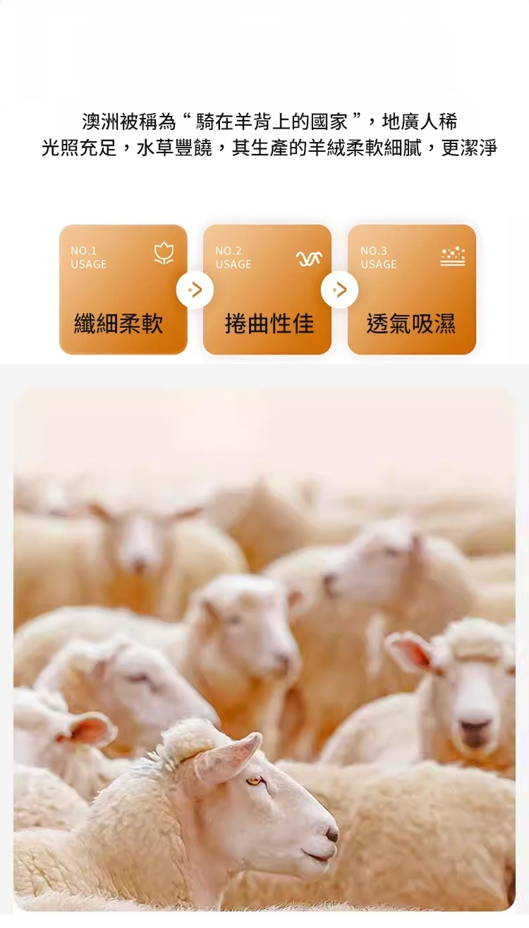 未标题-1_08.jpg
