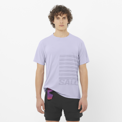 LC2694400_0_MOD_senseaerossteegfx_cosmicskycastelrock_run_m