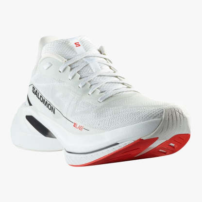 S/LAB SPECTUR – SALOMON SG