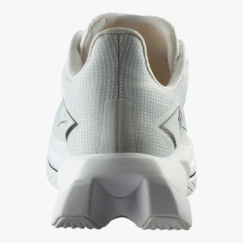 S/LAB SPECTUR – SALOMON SG