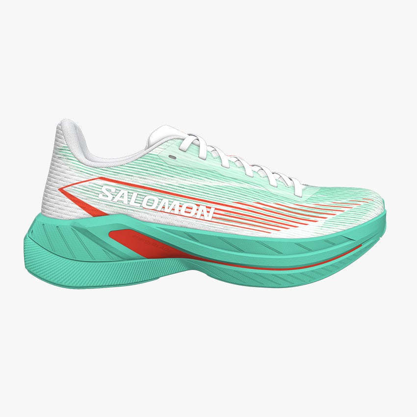 SPECTUR 2 – SALOMON SG