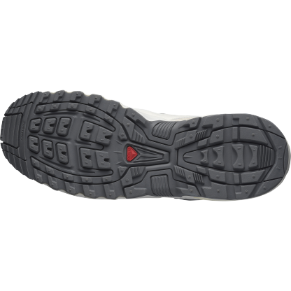 SALOMON ACS + SEASONAL