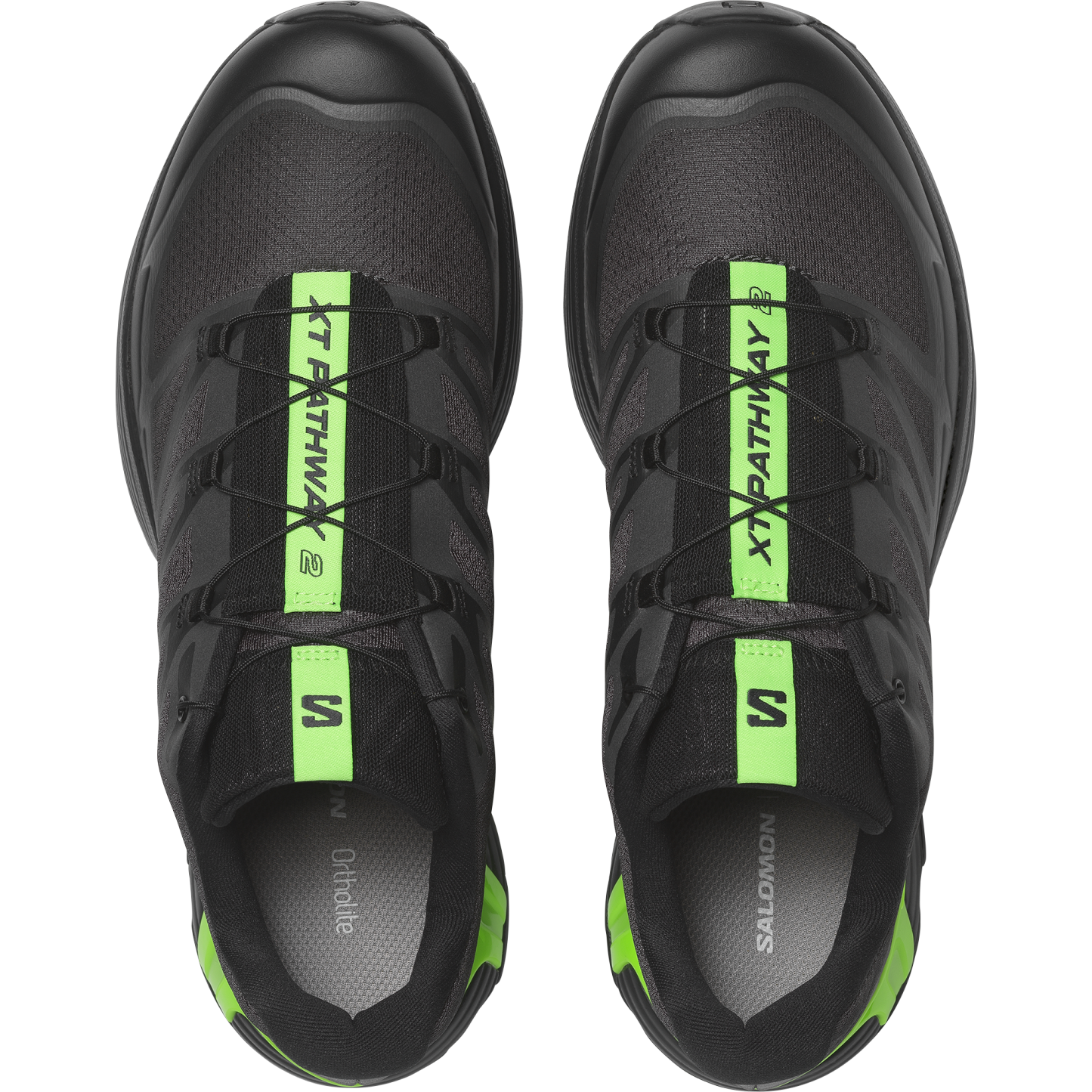 XT-PATHWAY 2