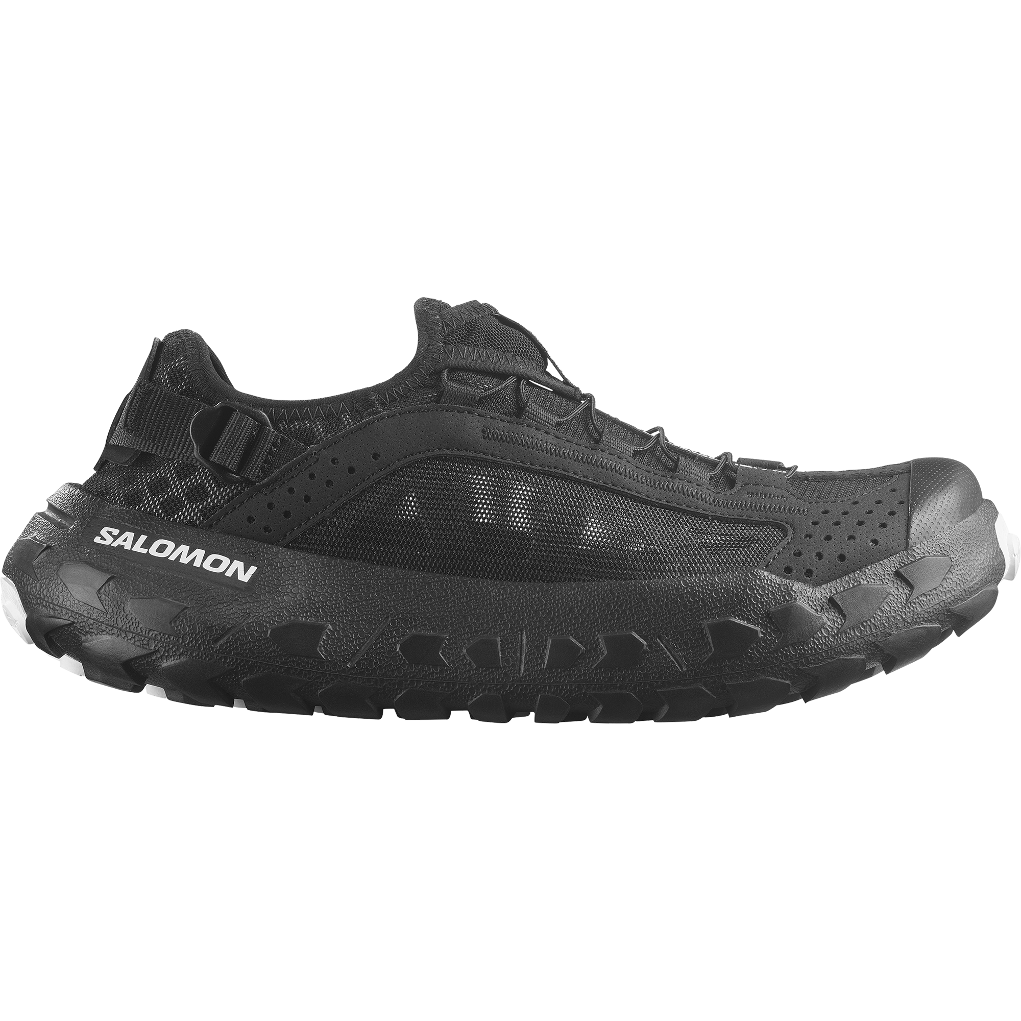 SOLAMPHIBIAN