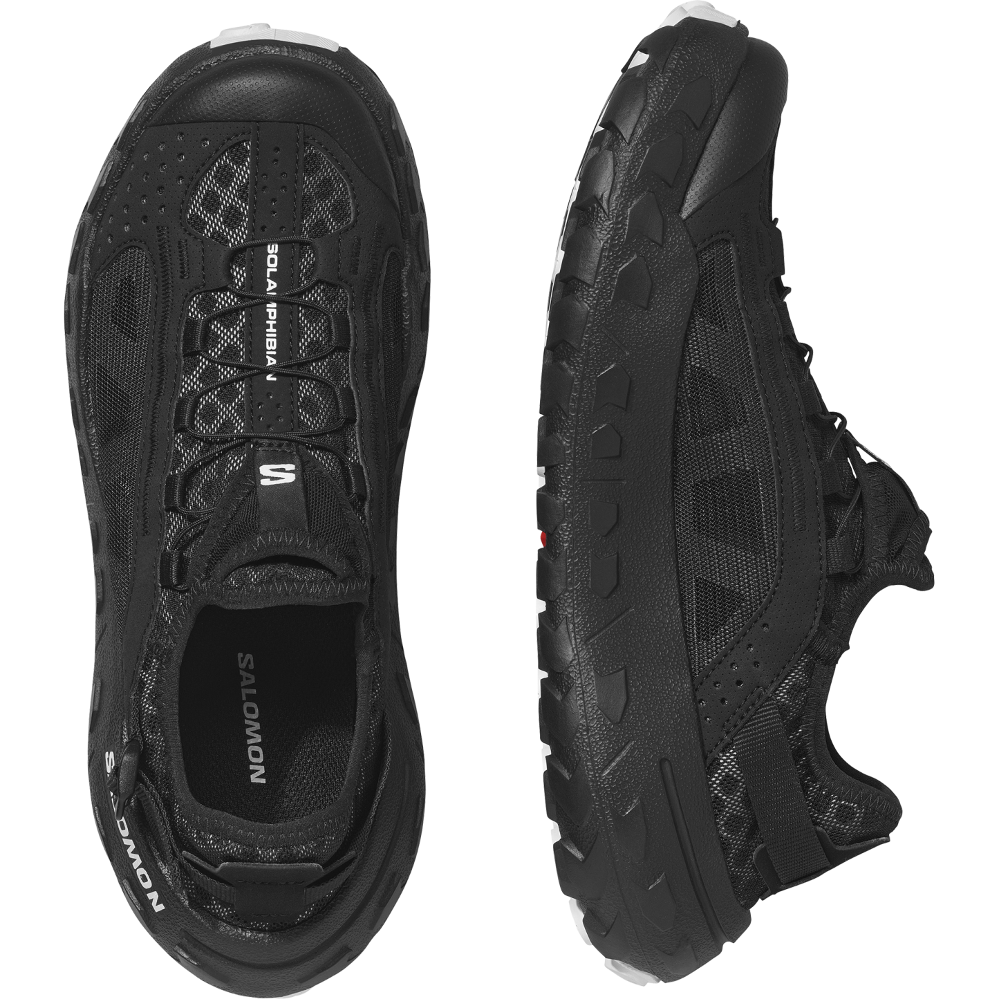 SOLAMPHIBIAN