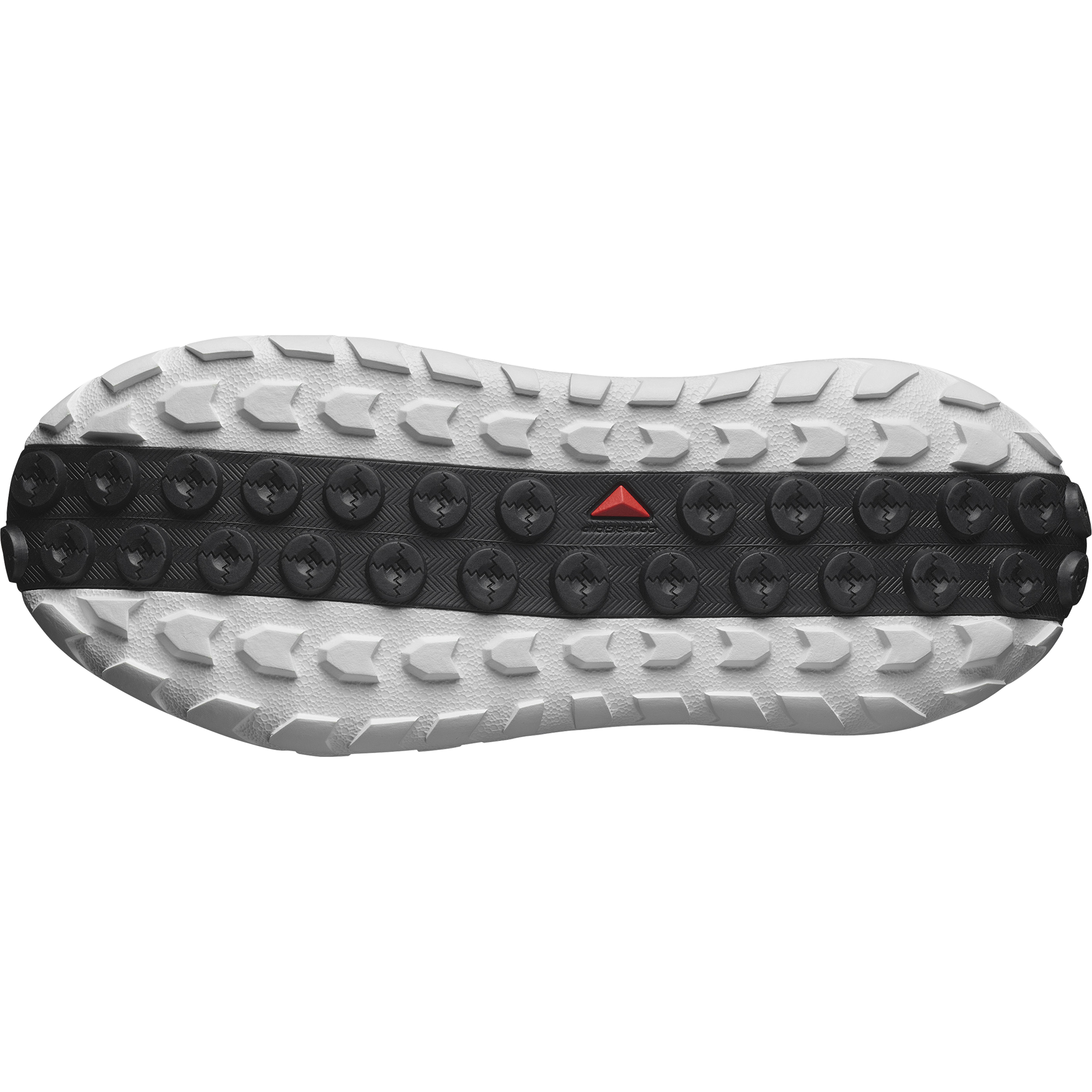 SOLAMPHIBIAN