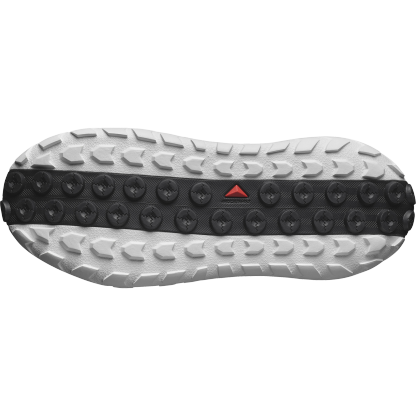 SOLAMPHIBIAN
