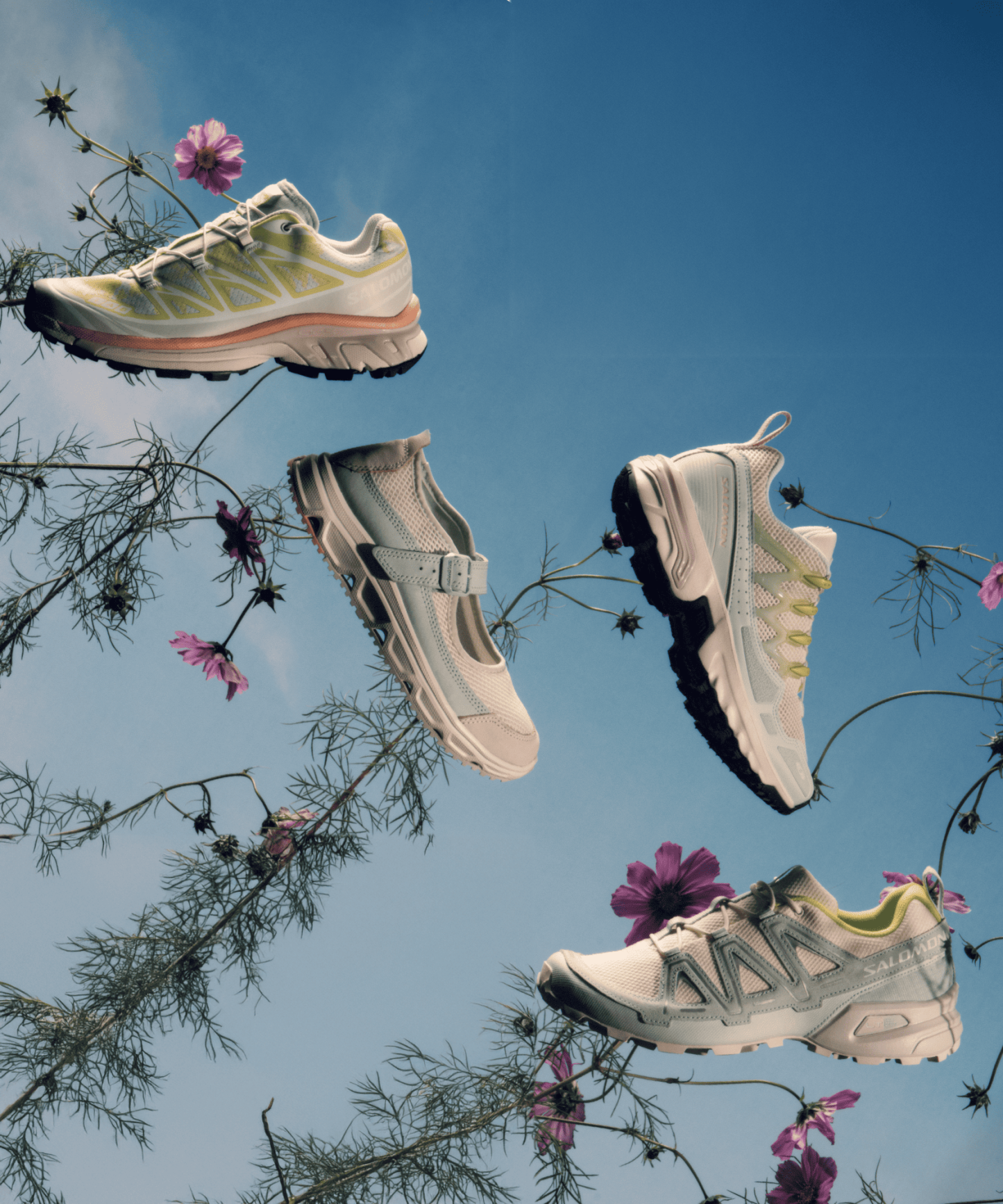 SALOMON SPEEDCROSS 3 EXPANSE ALPEN BLOSSOM