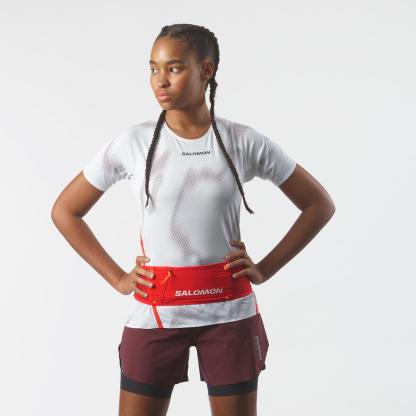 S/LAB BELT 