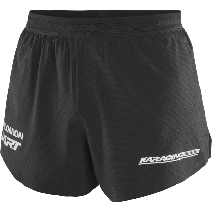SALOMON SPEED SHORT L'ART M