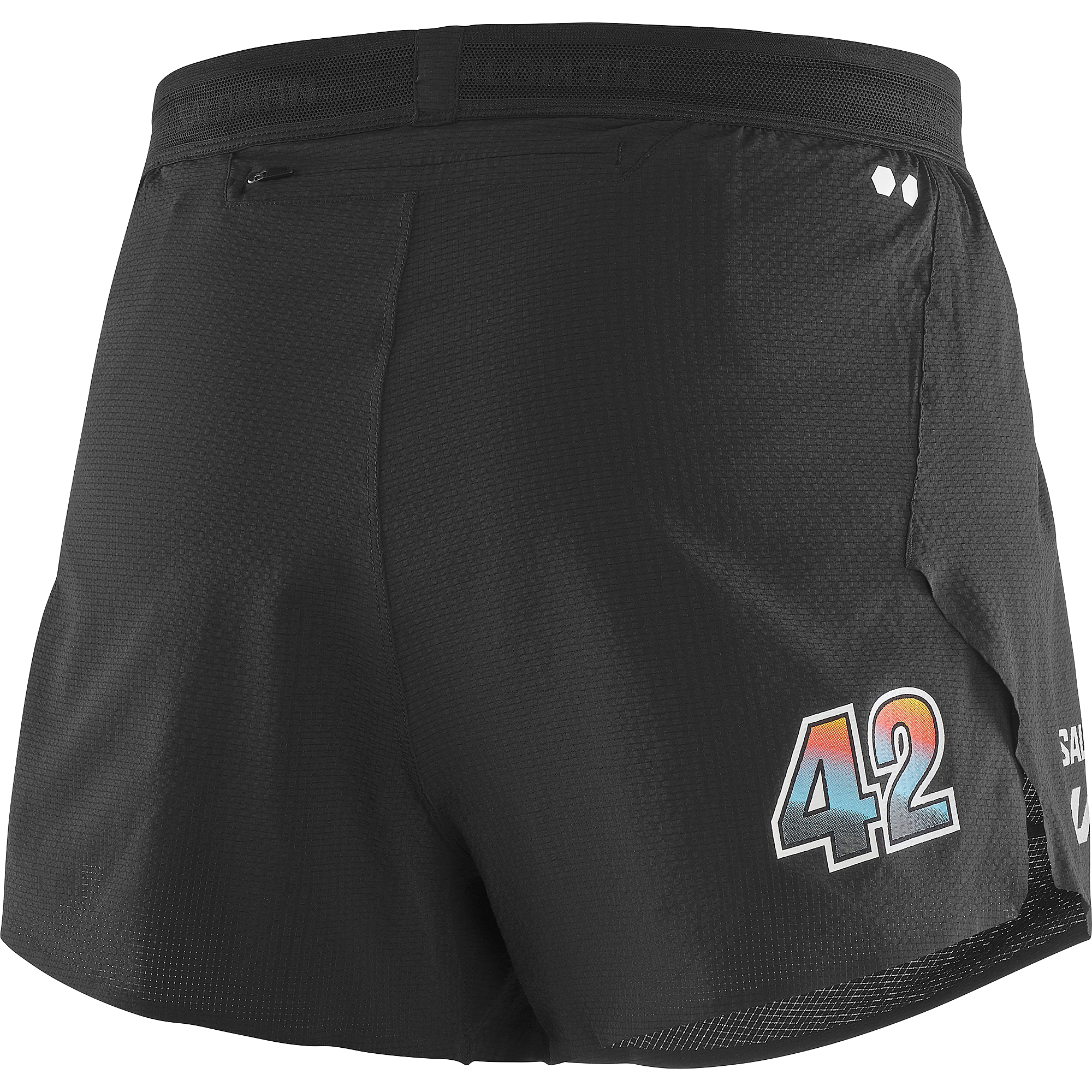 SALOMON SPEED SHORT L'ART M