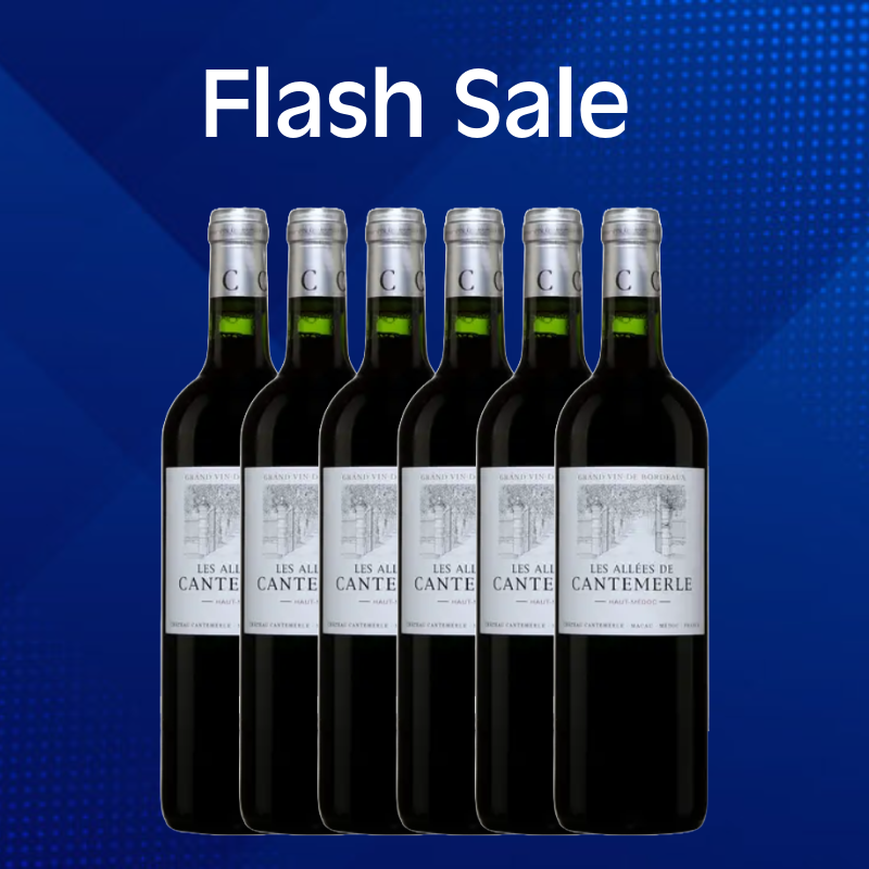 Les Allées de Cantemerle Haut-Médoc 2013 (6 bottles)